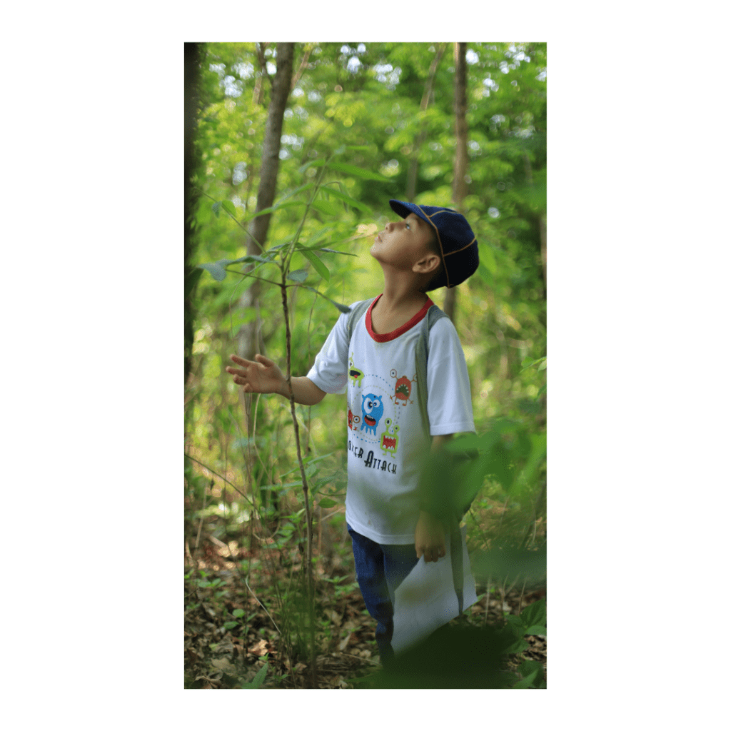 Take advantage of the great outdoors. While traveling, explore nature and help your children learn more about botany, biology, geology, and more.